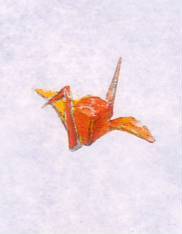 turu0001.JPG